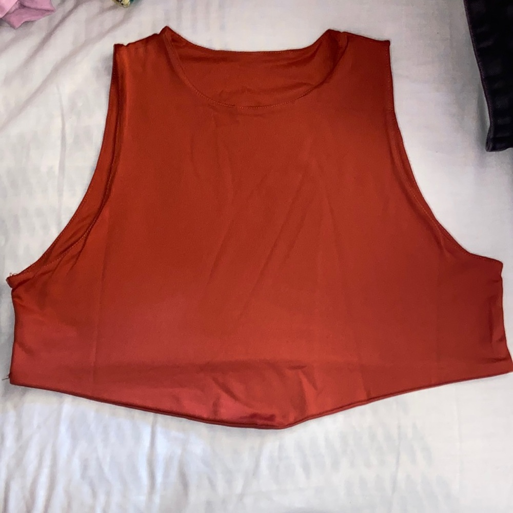 Brand: Blush Mark . Size: L . Color: Redwood . Only worn once.